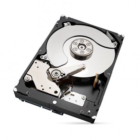 Жорсткий диск 6TB Seagate SkyHawk ST6000VX009 для відеоспостереження