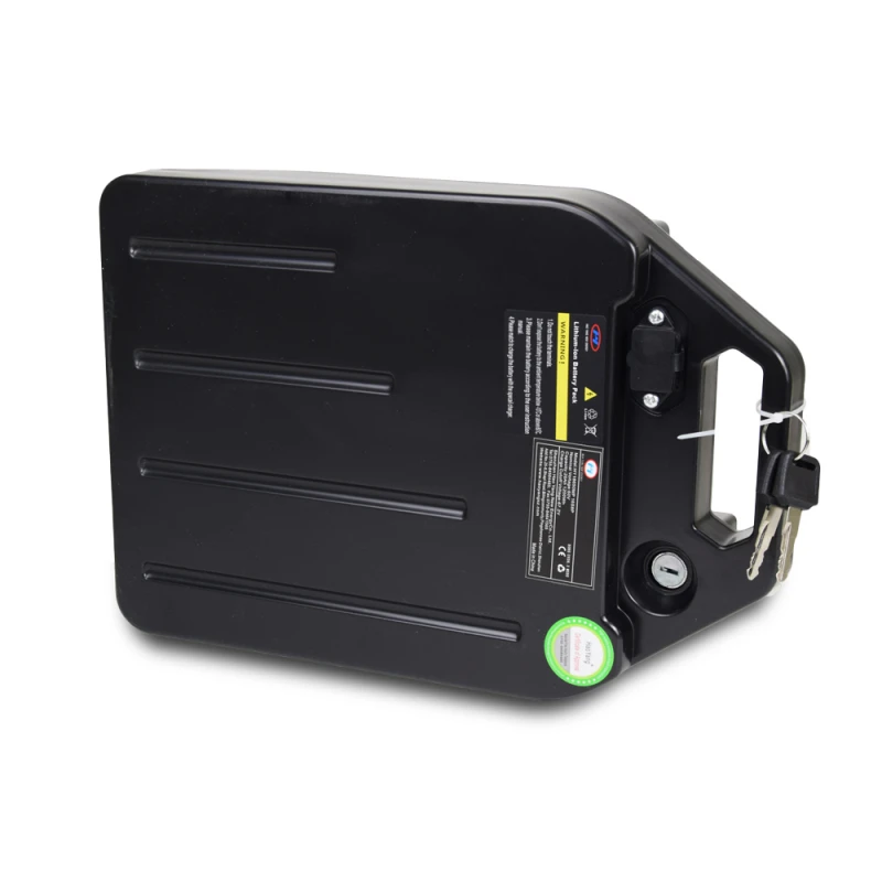 Аккумулятор съемный 60V 20Ah для Citycoco (Ситикоко)