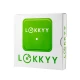 Блок управления гаражными воротами LOKKYY с Bluetooth и Wi-Fi
