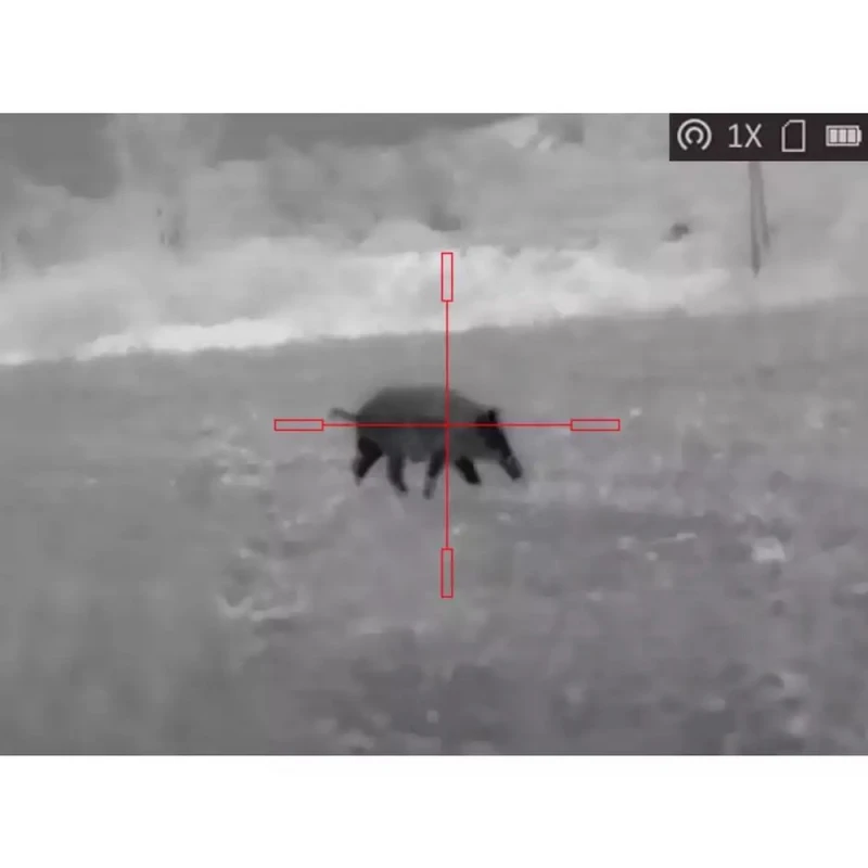 Тепловизор AGM Rattler TS25-384 с инфракрасным детектором и дисплеем